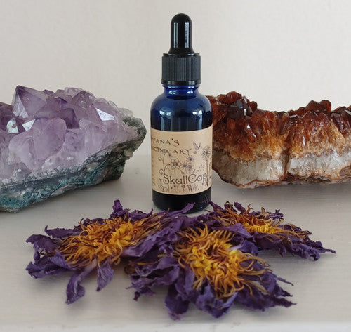Skull Cap Tincture | Wildly Aiyana